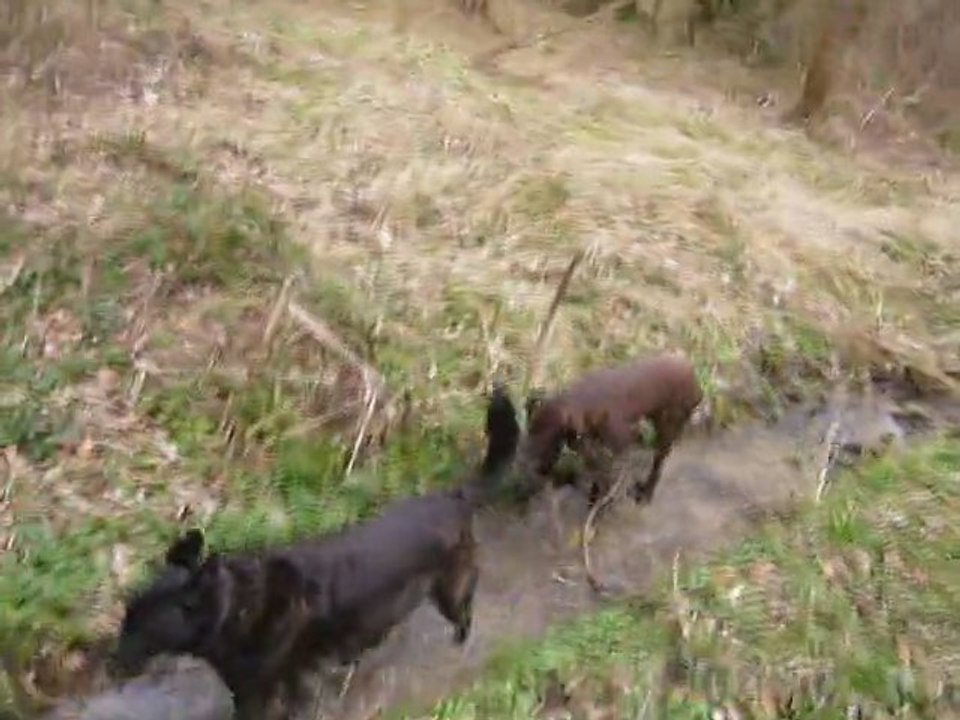 PATO DANS LE RUISSEAU : DETENTE