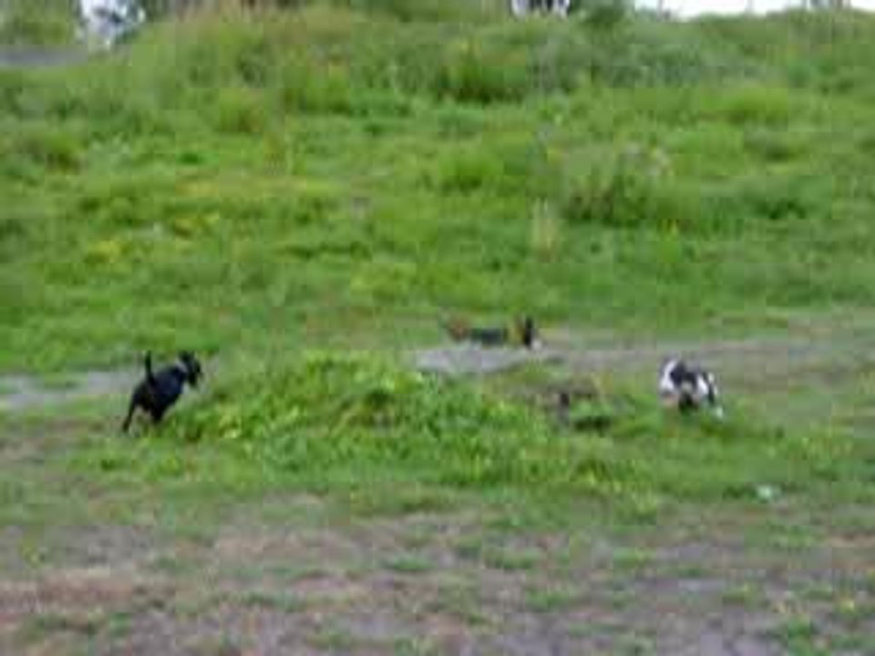 Gaïa Amine et Xéna