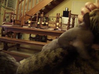 je t'aime.... moi non plus