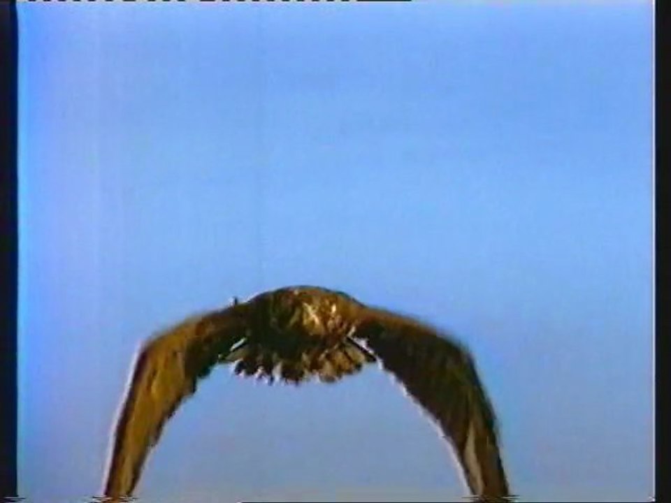 TF1 24 Nov. 1998 Générique Ciné Mardi,3 Pubs et 2 B.A