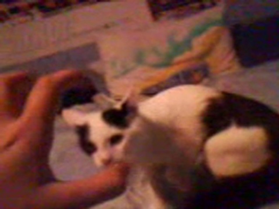Nooby Joueur =D