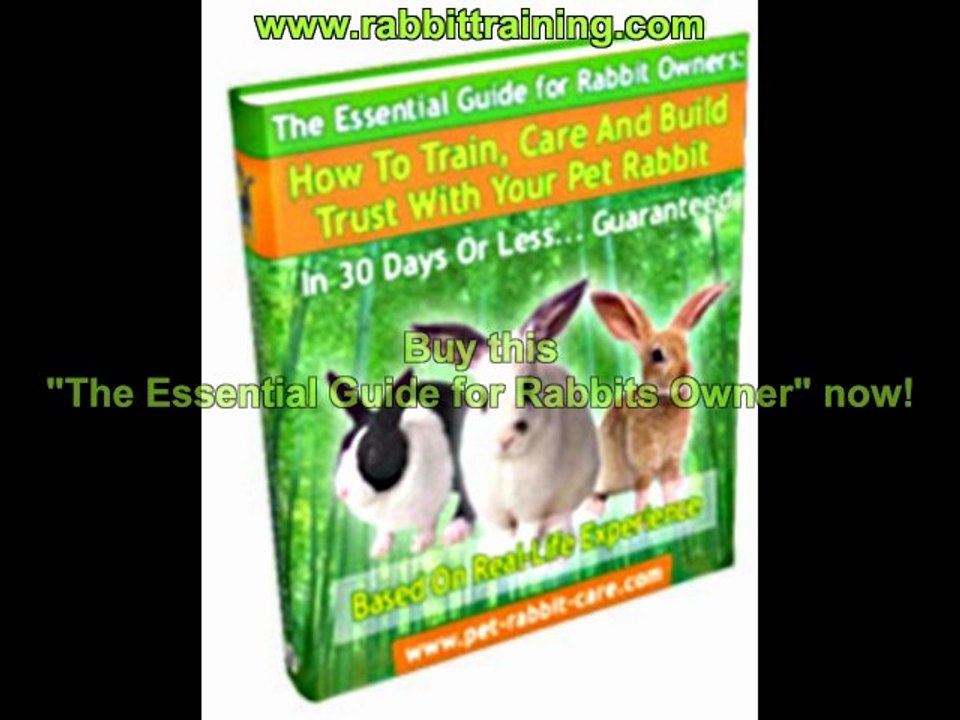 The Essential guide for Rabbit owner