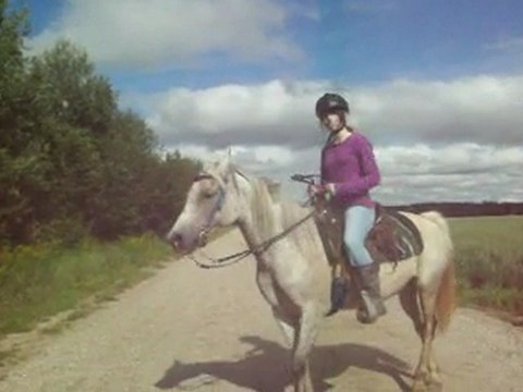 Premier montage video des chevaux; sans musique $: