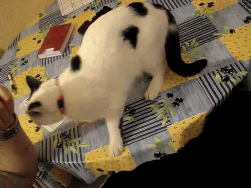 MOV09657