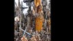 Christians crosses miracles - Hill of Crosses