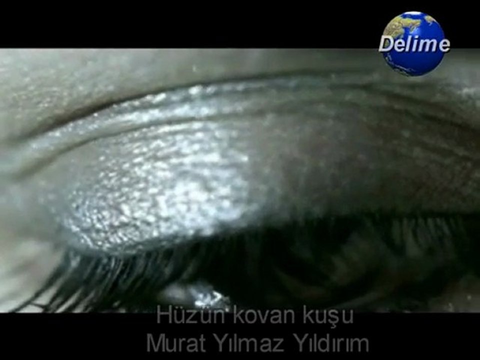 Murat yılmaz yıldırım-Hüzün kovan kuşu- delime