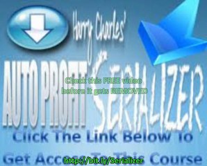 Auto Profit Serializer