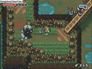 Zelda Minish Cap (14) Les Marais De Tabanta