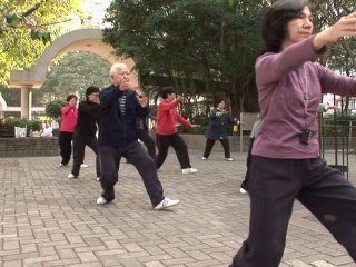 Mit Schlangensuppe und Tai Chi gegen die Grippe