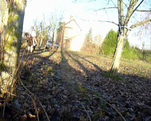 Take me with you, I wil never let you down..  -  fin 2010