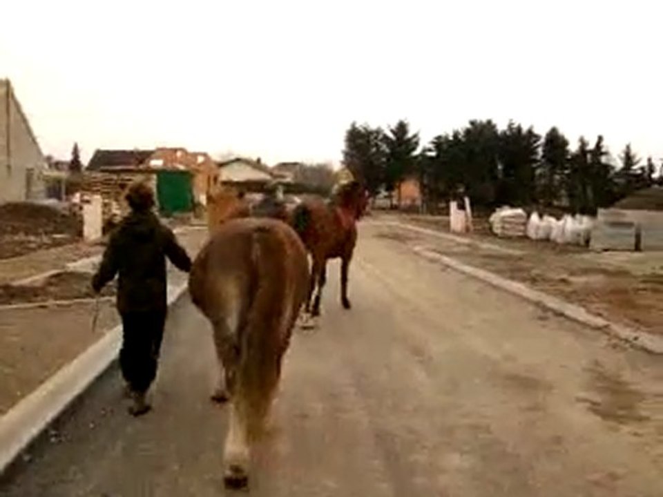 1ère sortie en extérieur d'Ulkhan :)