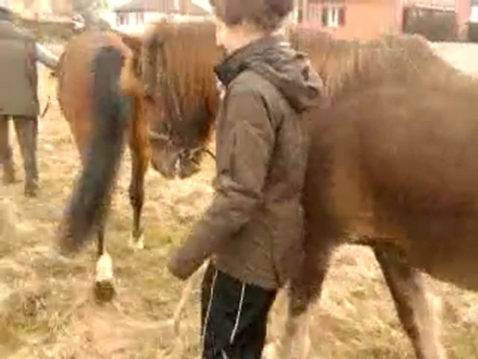 1ère sortie en extérieur pour Ulkhan :)