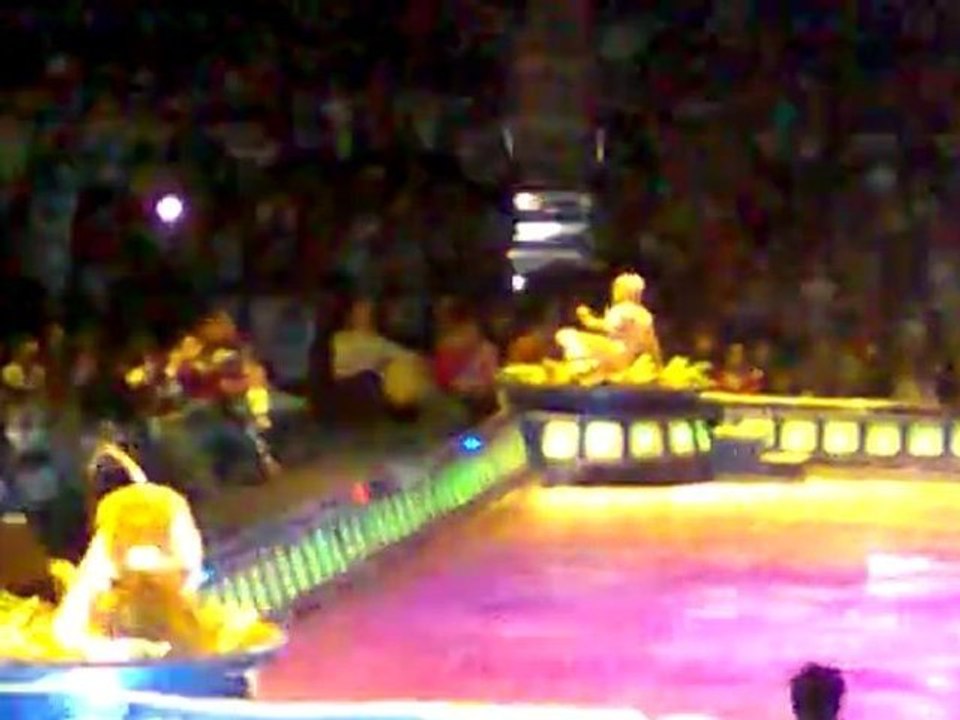 "Disney On Ice Un siglo de Magia"