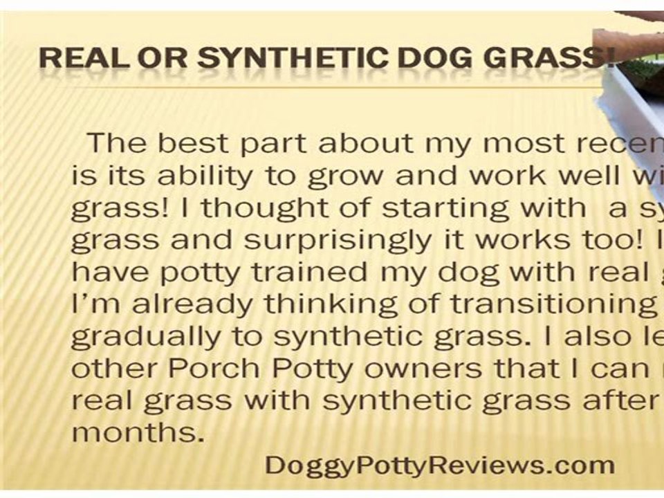 Dog Potty Porch Potty Review