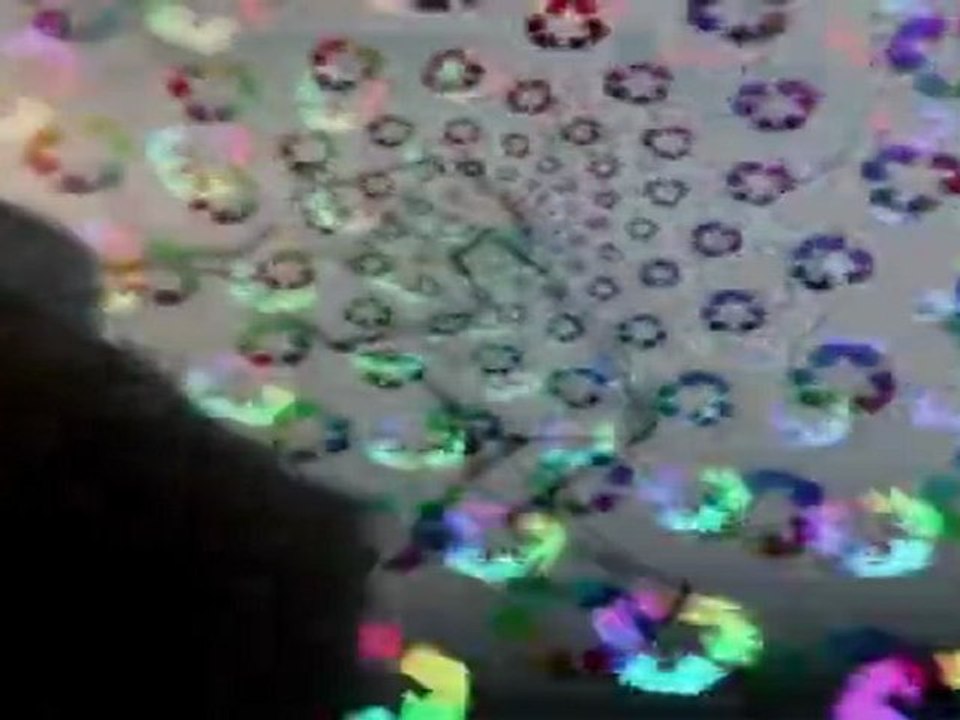 Les chats et l'épilepsie