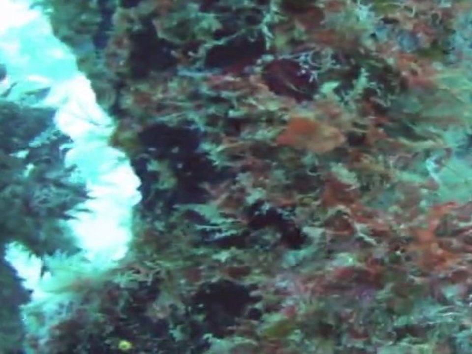 Kudhi Maa Wreck