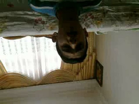 Amatör Şarkı BArış Çiçek