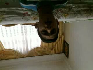 Amatör Şarkı BArış Çiçek