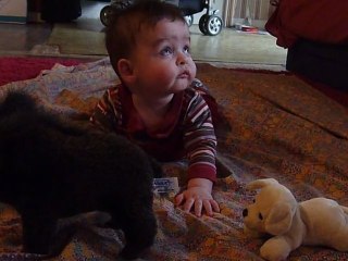 Promis, il aura le choix...