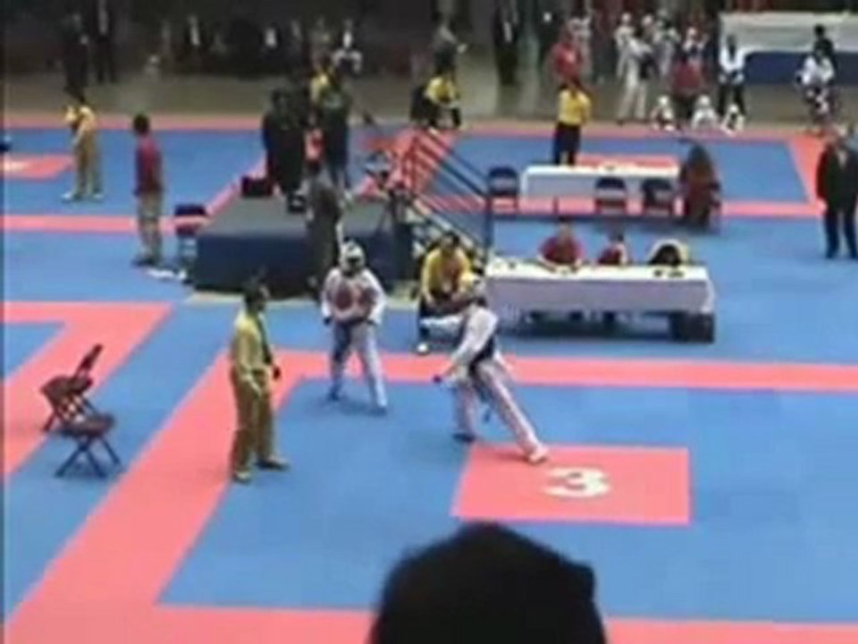 taekwondo knockout