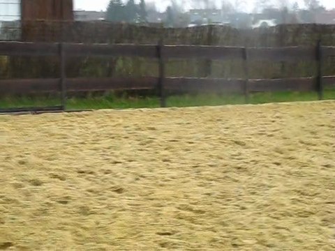 Ulys saut en liberté 26-2