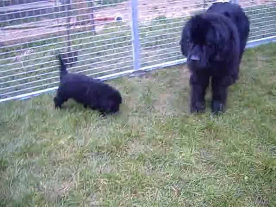 Les bébés de Cassie et Thad Jones 26/02/2011