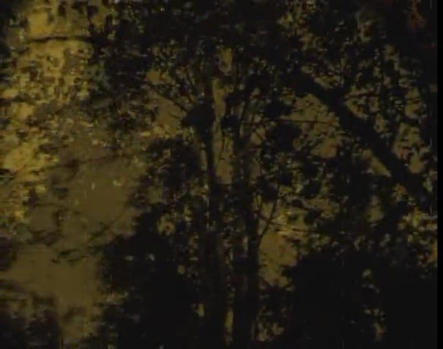 Skogyr -- Chant I