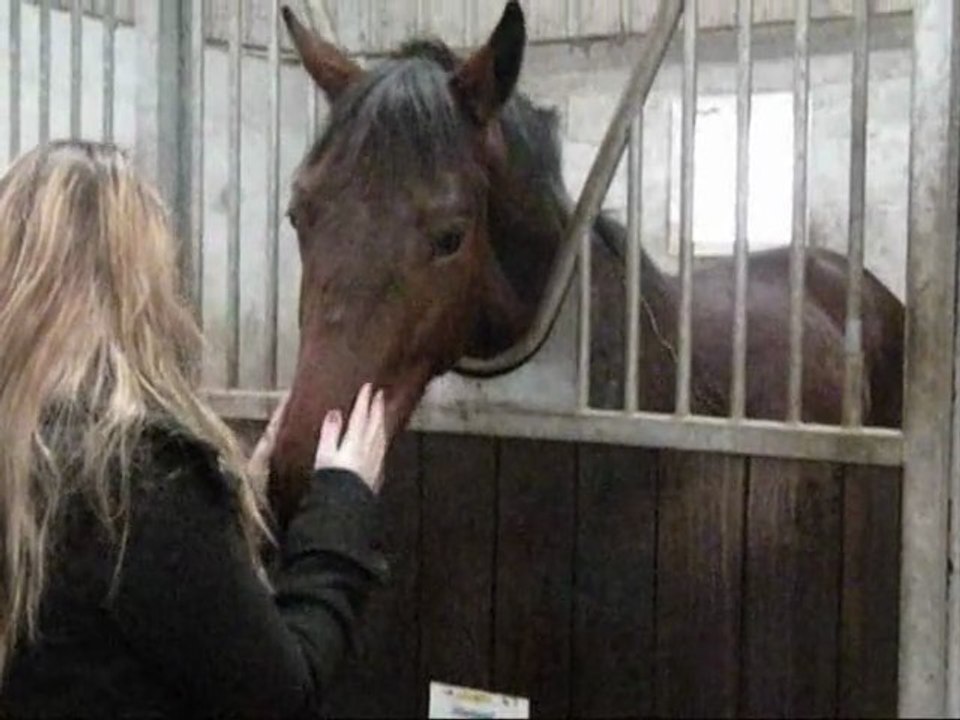 Landes-boxes-26022011