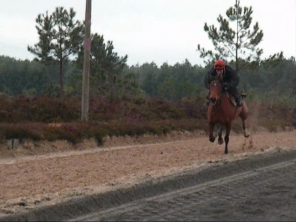 Landes-ext-26022011