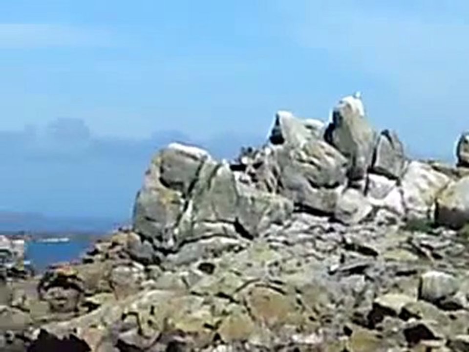 ile de bannec.archipel de ouessant