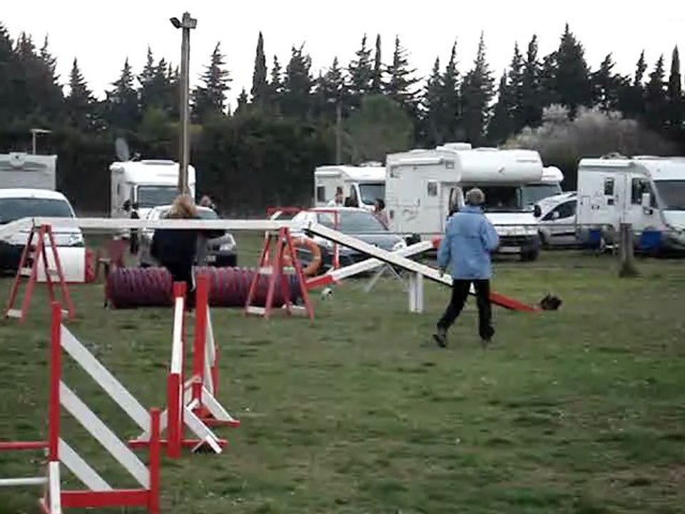 bambou 2° degré mouriès