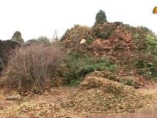 Bois énergie : les sources d'approvisionnement