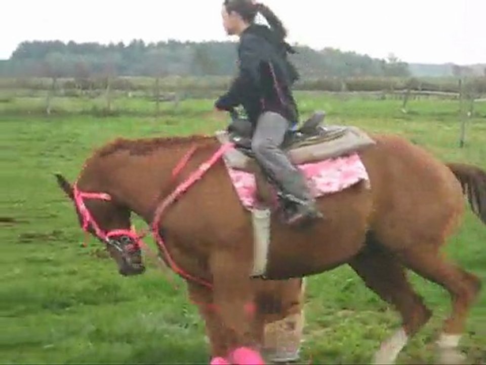 projet de francais marily