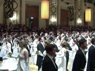 Le bal des cafetiers à Vienne