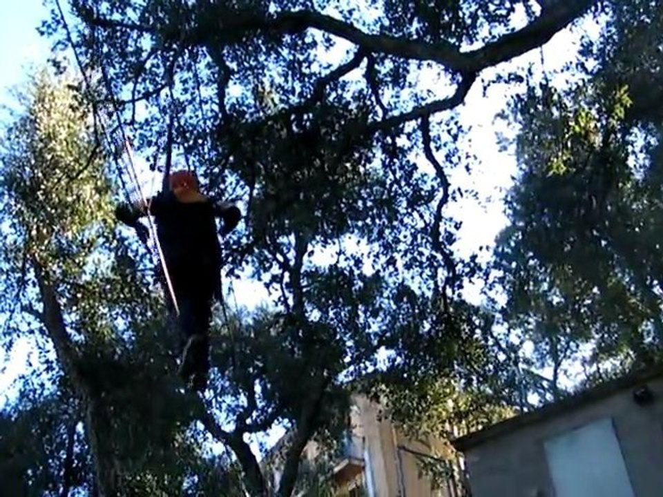DSCF1972