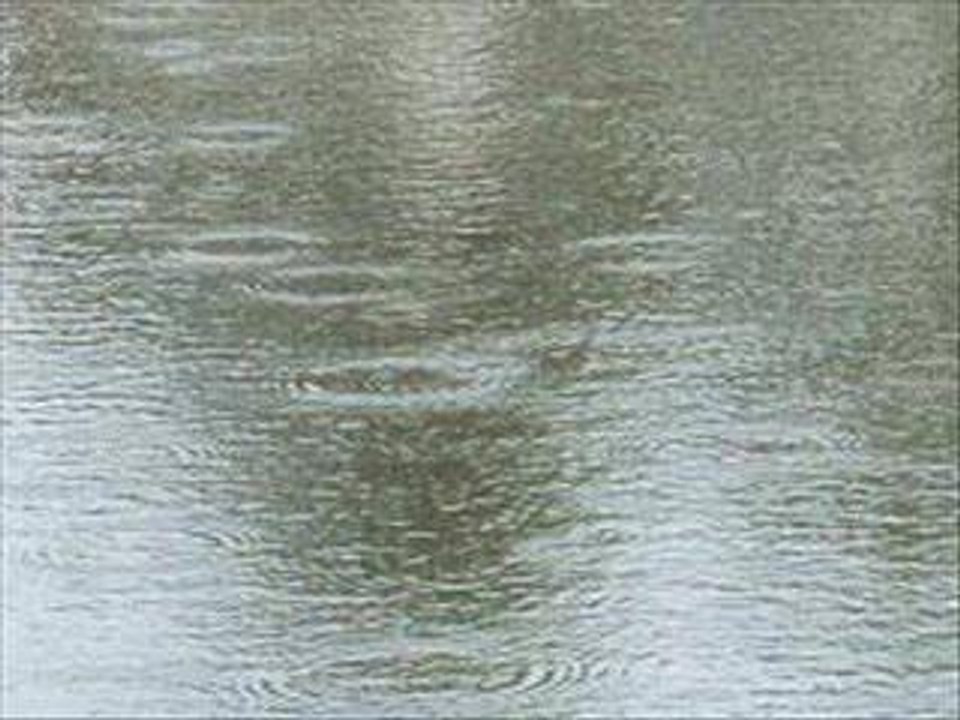 Finswimming open water