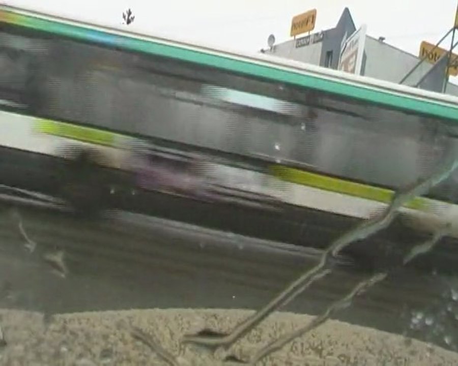 ds bw retour au bercail