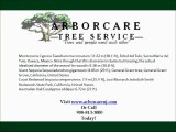 NJ Tree Services-Best Tree Services NJ Call 908-813-3000 To