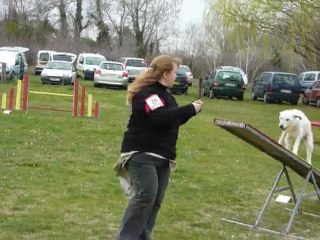 Daisy - Open Mouries 26-02-11