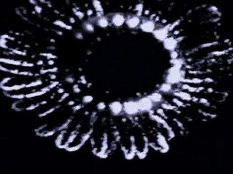 Voyage dans l'au-dessous - 2/3