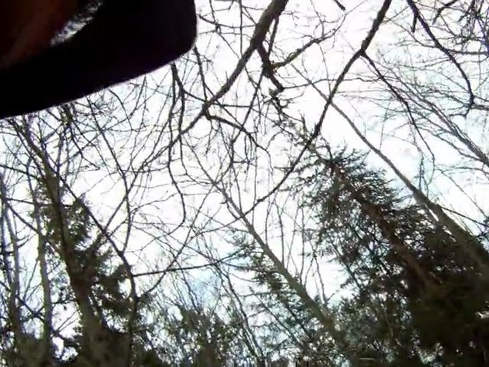 Papa Loïs 11-02-25 KiteDh Fronti St Niz