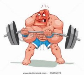 bodybuilding supplements