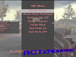 Teh1337Mods custom mod menu - -ONLINE- - (Preview) 2011