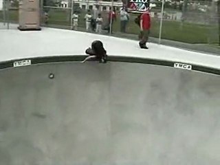 You ever see Holly Lyons skate?