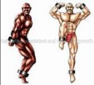 bodybuilding supplements that work