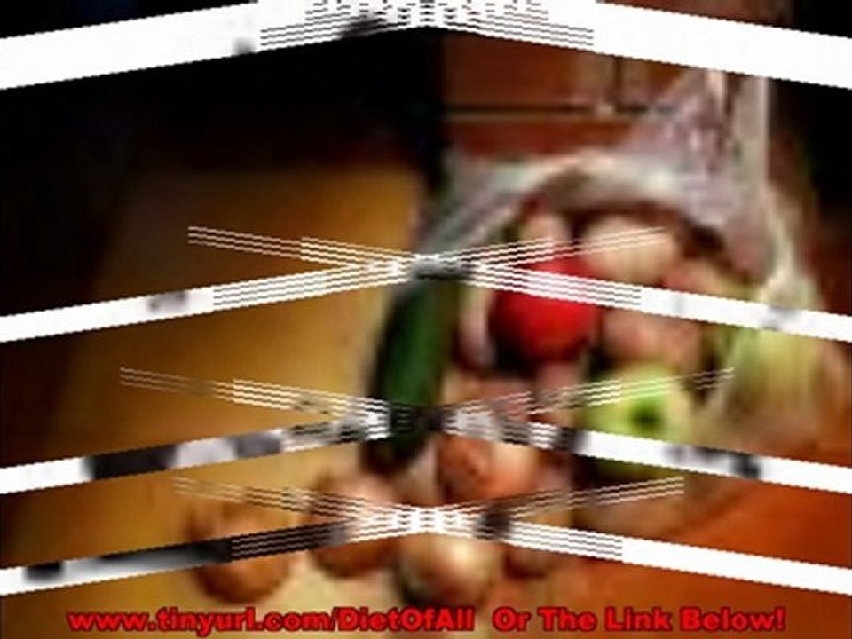 The solution program diet plan