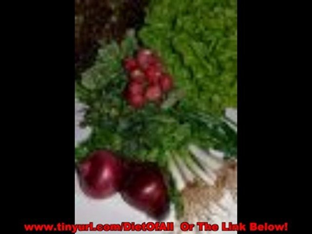 The solution program south beach diet