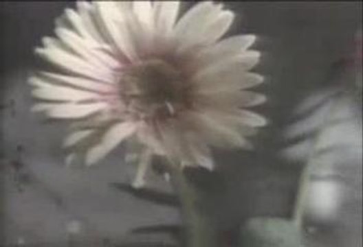 Laura Brannigan - Self Control