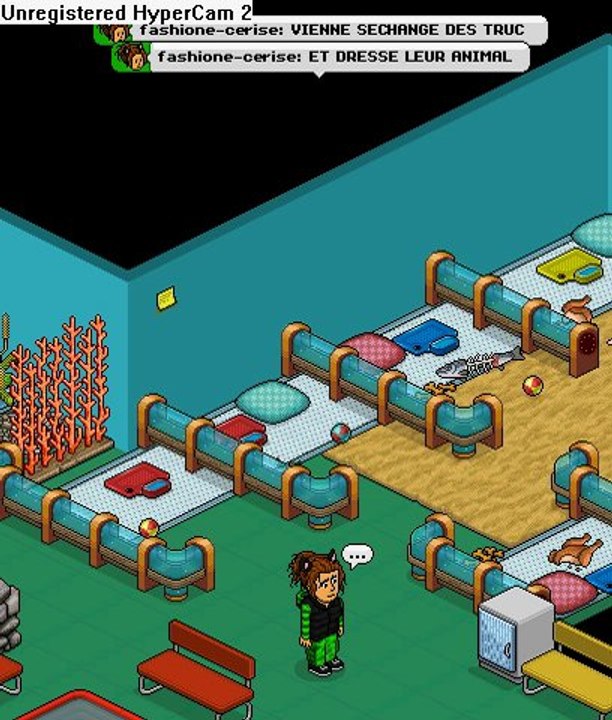 Le journal D'habbo : Le parc