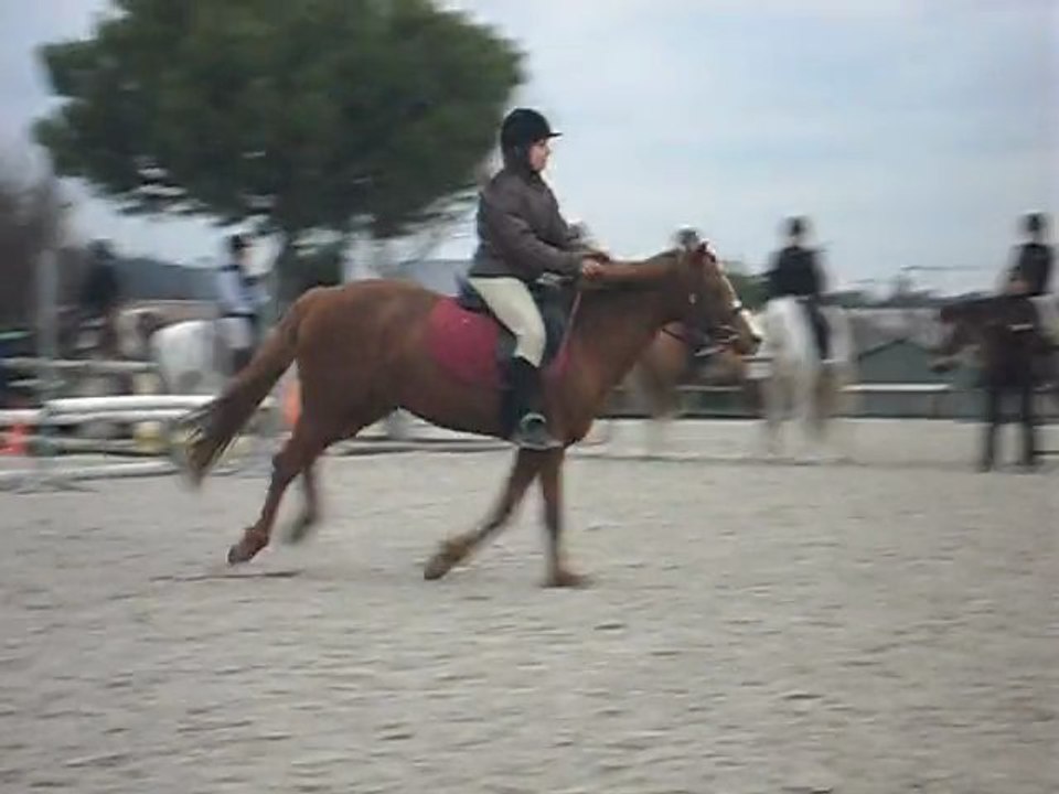 Myriam à poney